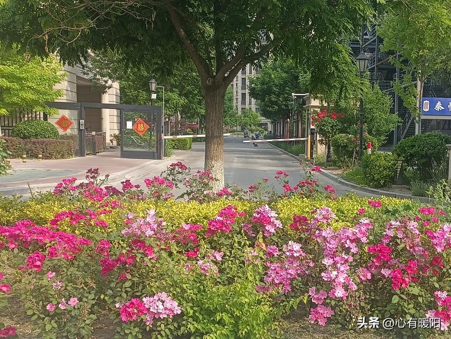 抓住男人的心最好的办法是什么?从来不是一味讨好、事事迁就，而是先稳住自己。
不把
