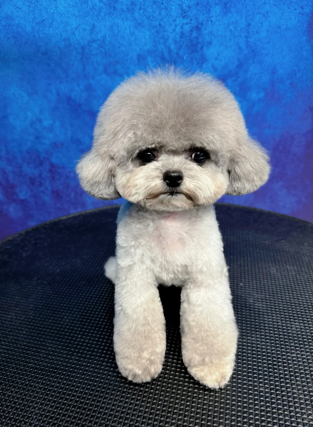 越来越淡 黑➡️灰➡️白