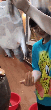 这手速