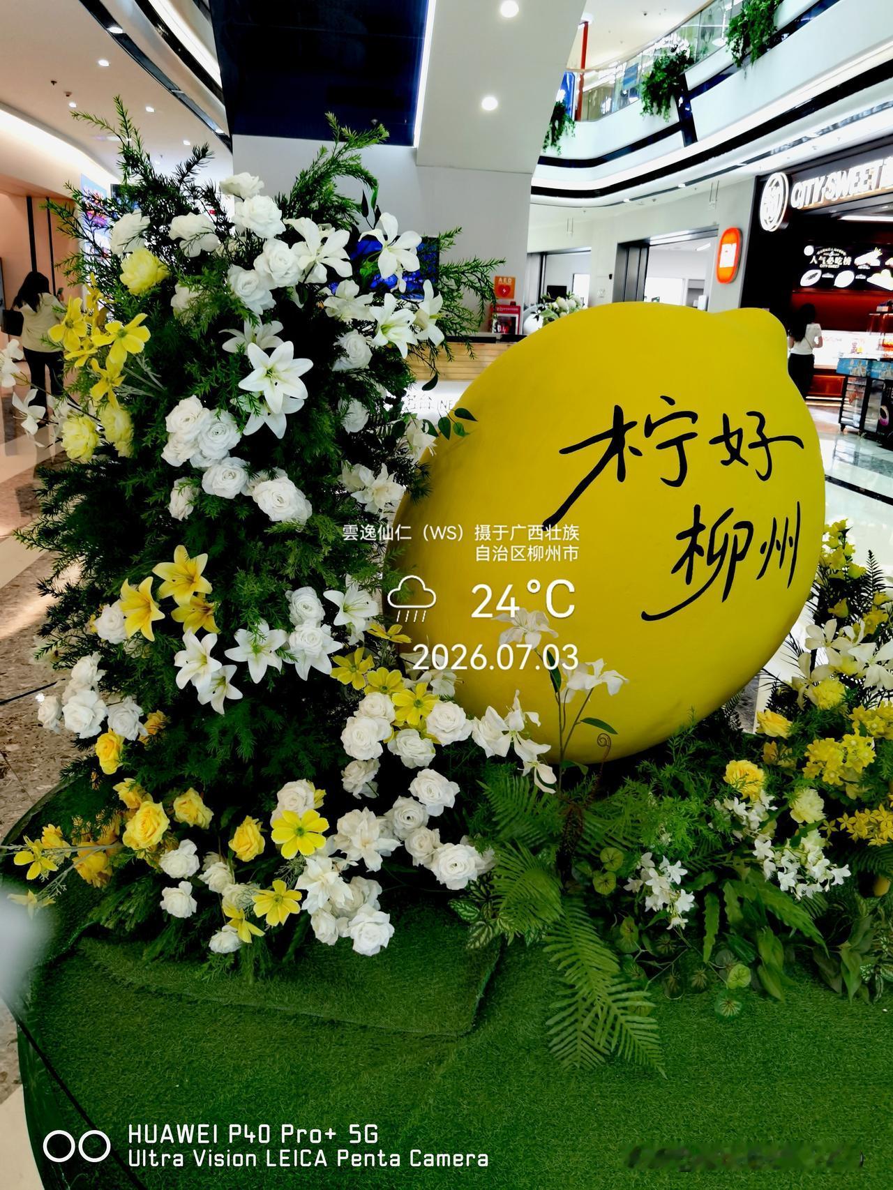 月居生活记录（10141）广西壮族自治区柳州市（179）花儿随拍19：柠好柳州、