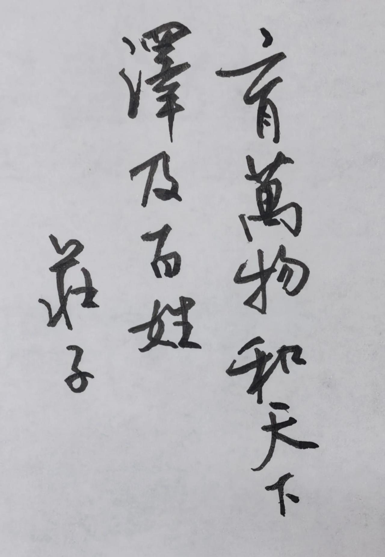 行书笔墨从容，字形开合有度，古朴大气，正好契合庄子这句话包容天地的意境。黑底白字