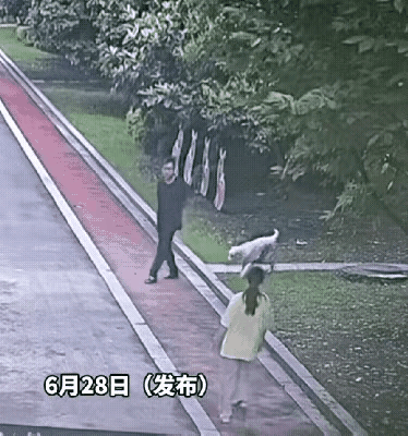 女子在路上正常走路，突然冲出来一条没拴绳的大狗，直直朝着她扑过去。女子吓得捂住脸