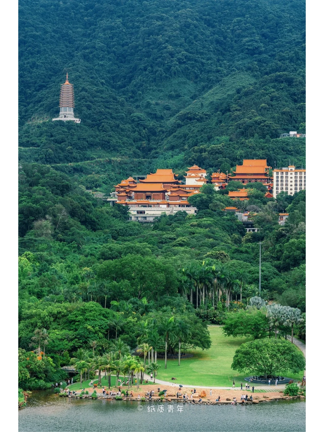深圳仙湖|这个一览众山小的机位太绝了⛰