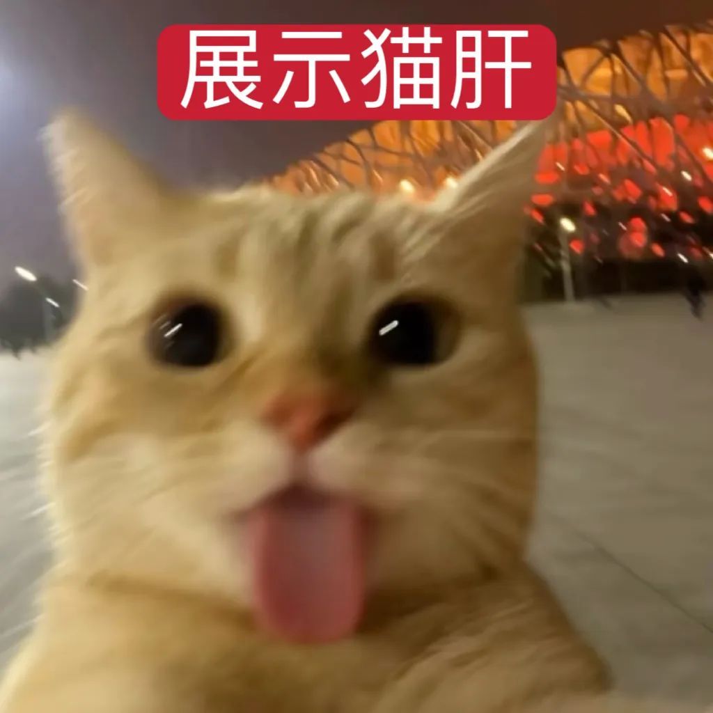 这么多个游 不差宣一个游点意思 