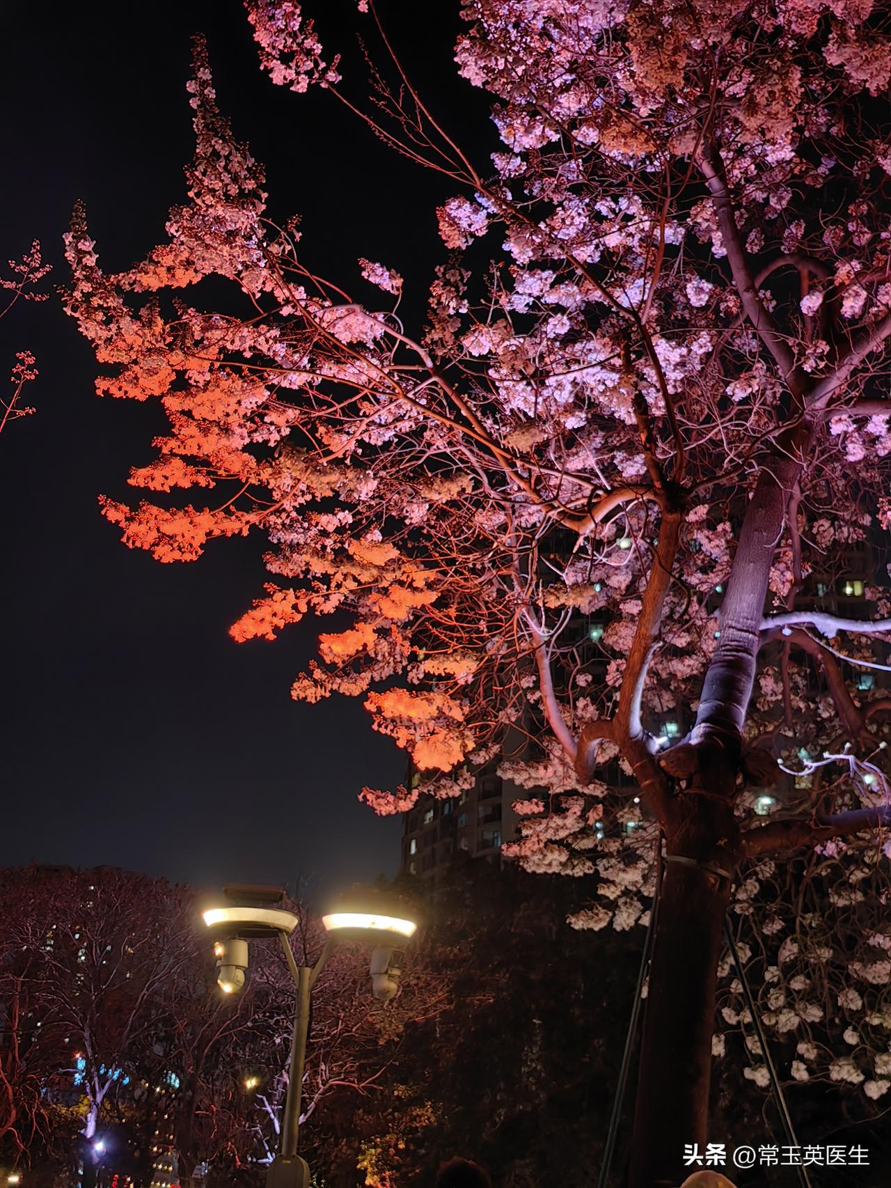 什么也带不走，只有你此时此刻的感受，说话，做事，心思和你同在