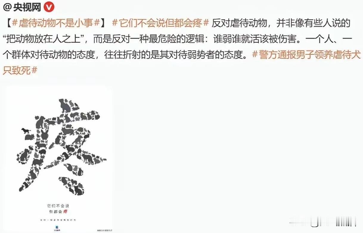 官媒呼吁要善待动物，弱小不代表就该被伤害，动物也会感到疼痛，这话确实说到了很多人