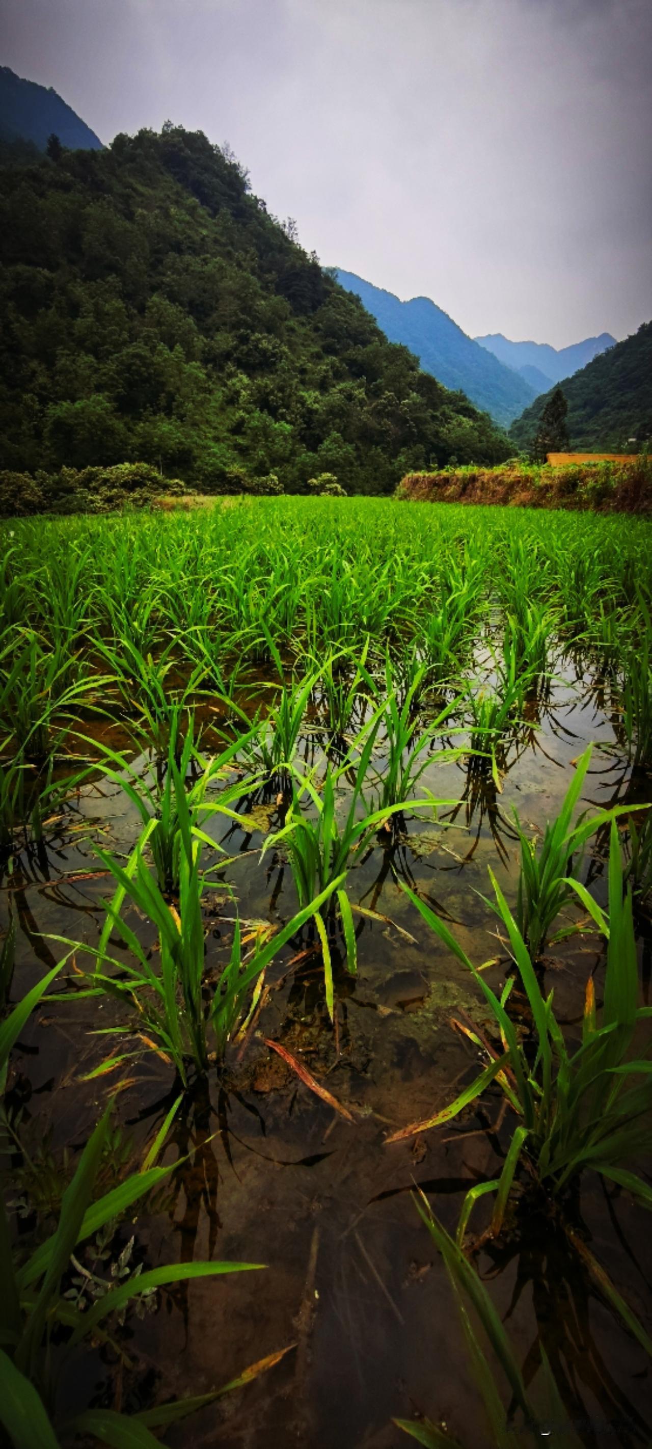 游玩的乐趣就是穿梭在青山绿水的乡村公路上，偶尔泄下的日光点缀了青山绿水，具有强大