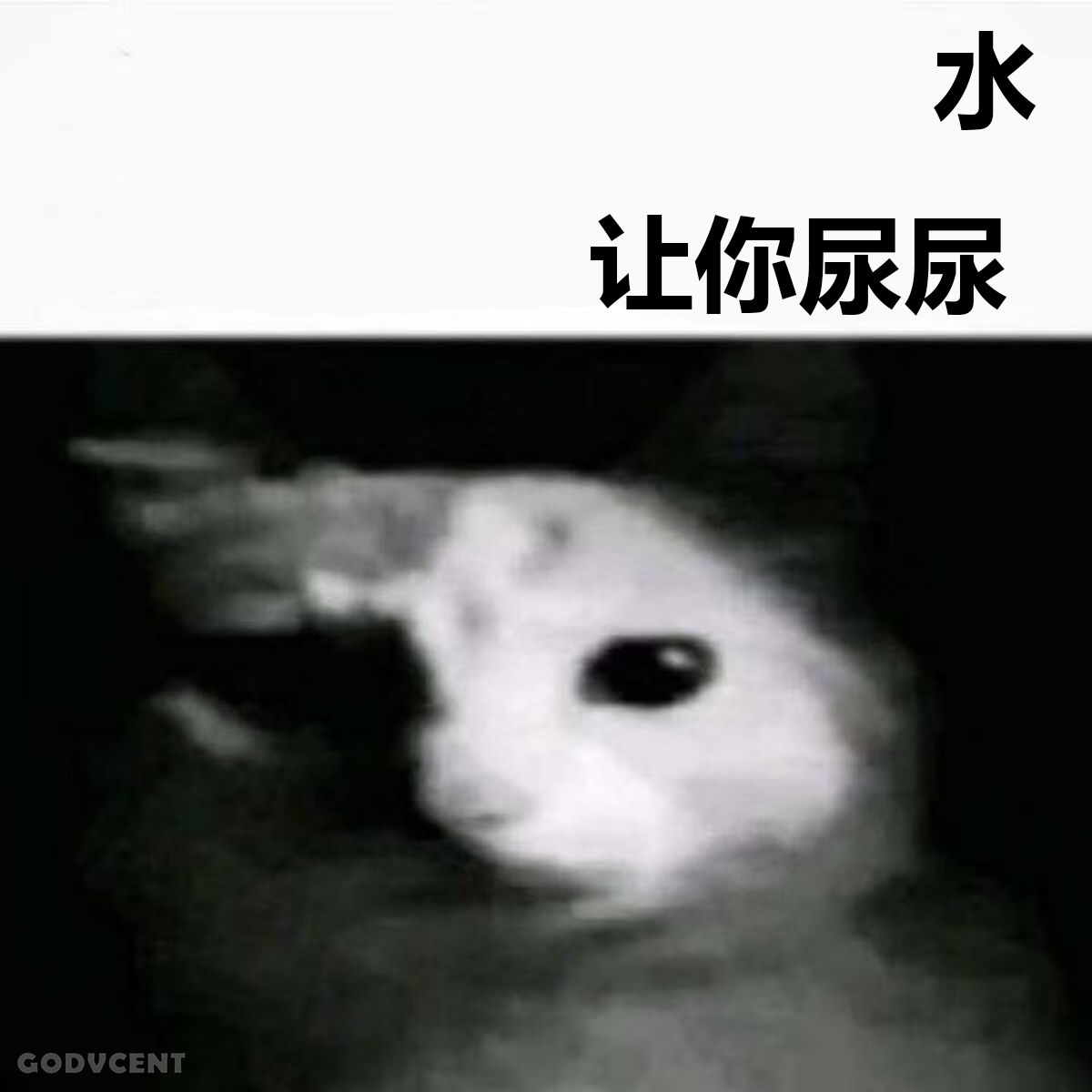 黑暗 