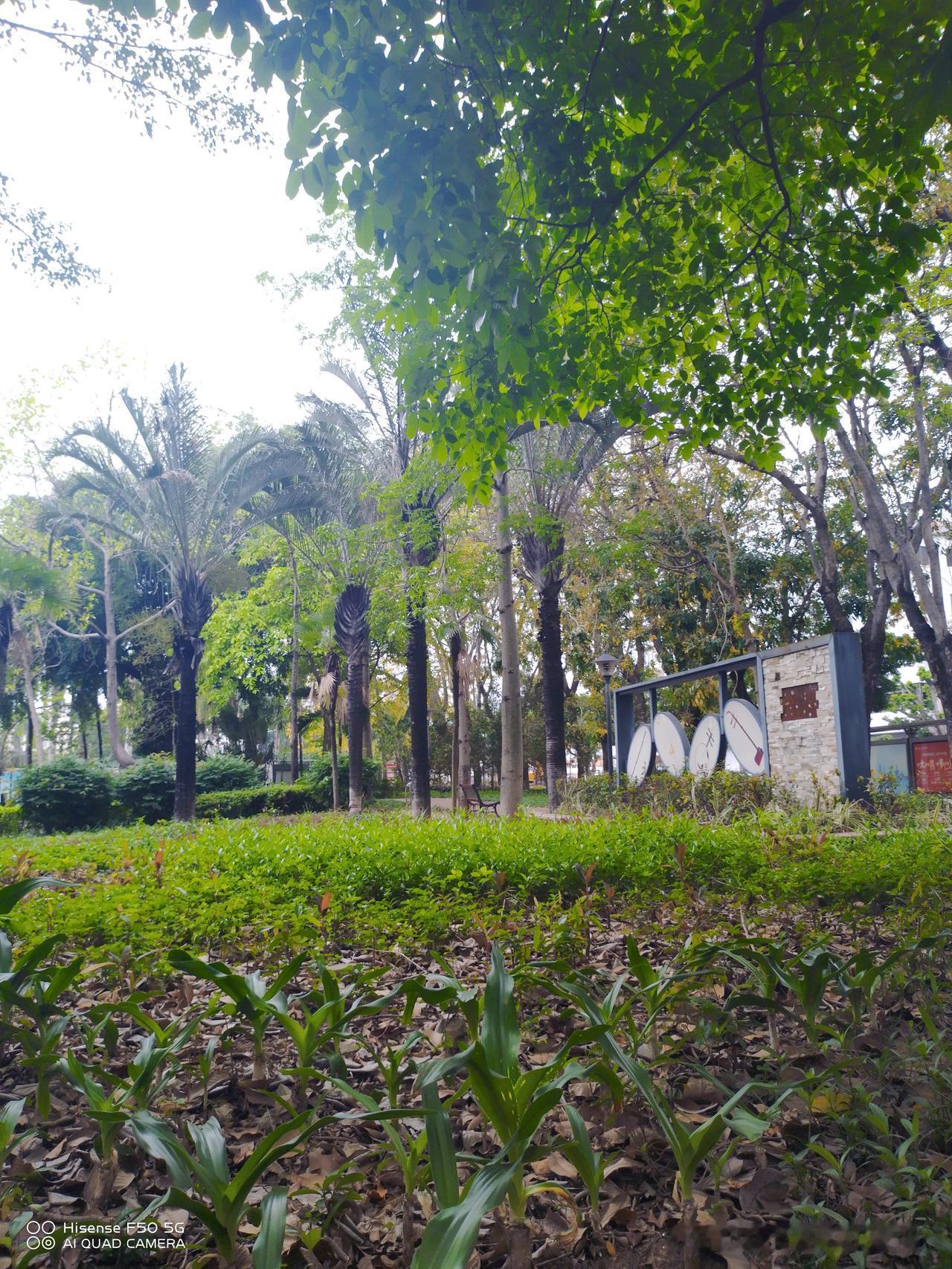 很久没出去转一转了，天天窝在出租屋，人都要发霉了，除了无聊还是无聊。
早上八点多