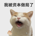 年轻人真的可以尝试挣快钱 你是说让一个刚出社会，连社保都整不明白的人去赚快钱？大