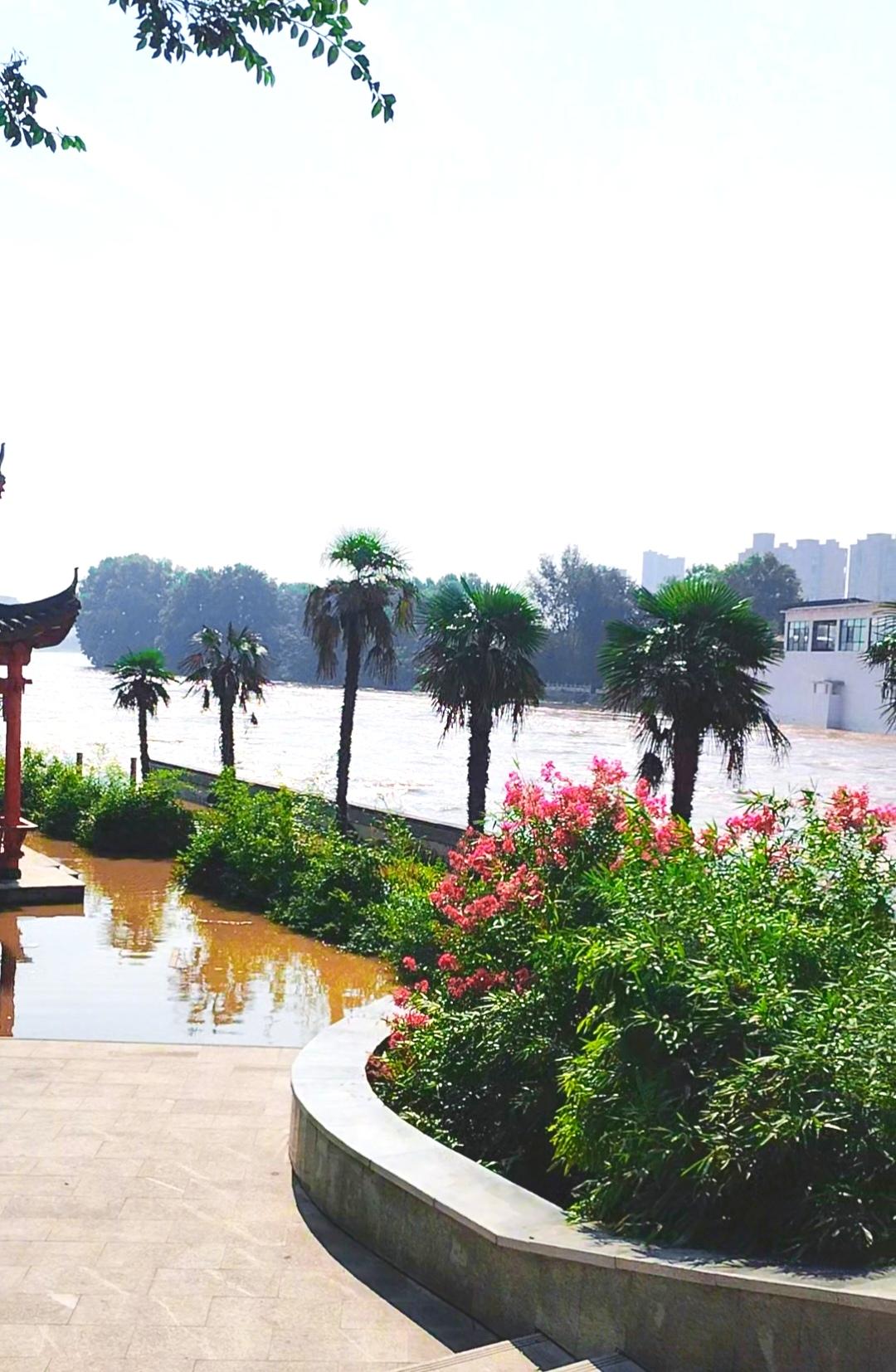 沈丘沙颍河洪水 何时能下降？
今天上午去沈丘沙颍河十八空大闸和五空闸看看水位，经