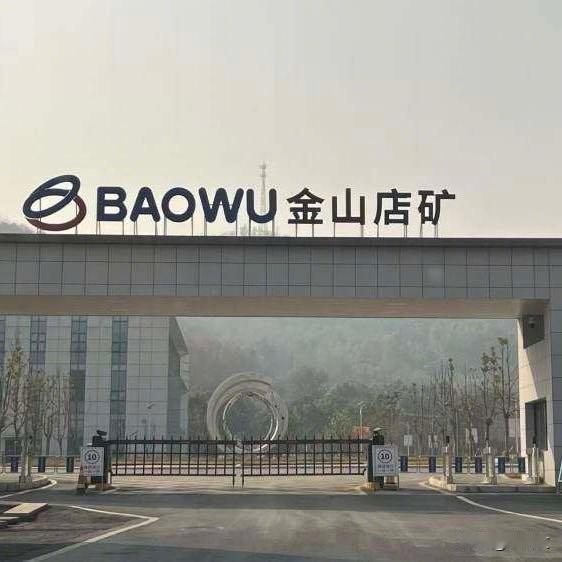 宝武旗下矿山铲车挤死值班长！迟报21小时还开会瞒报，已启动追责
 
宝武钢铁旗下