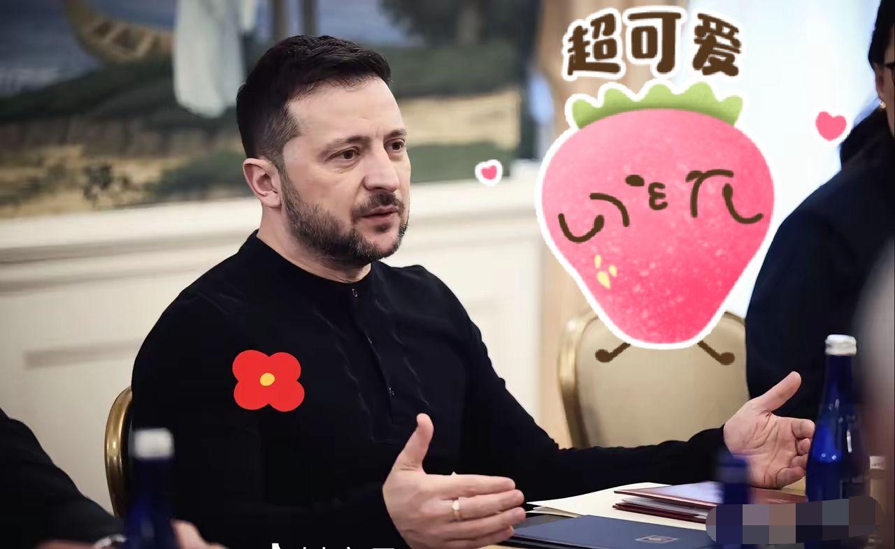 乌克兰总统泽连斯基宣布：
2026年3月20日，乌克兰总统泽连斯基表示：乌克兰和