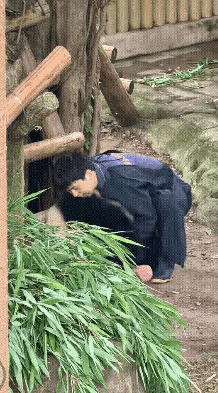 小月亮是不是个颜控？月亮公主看来也喜欢帅哥！
大家快来看呀，项奶爸被小月亮宠幸啦
