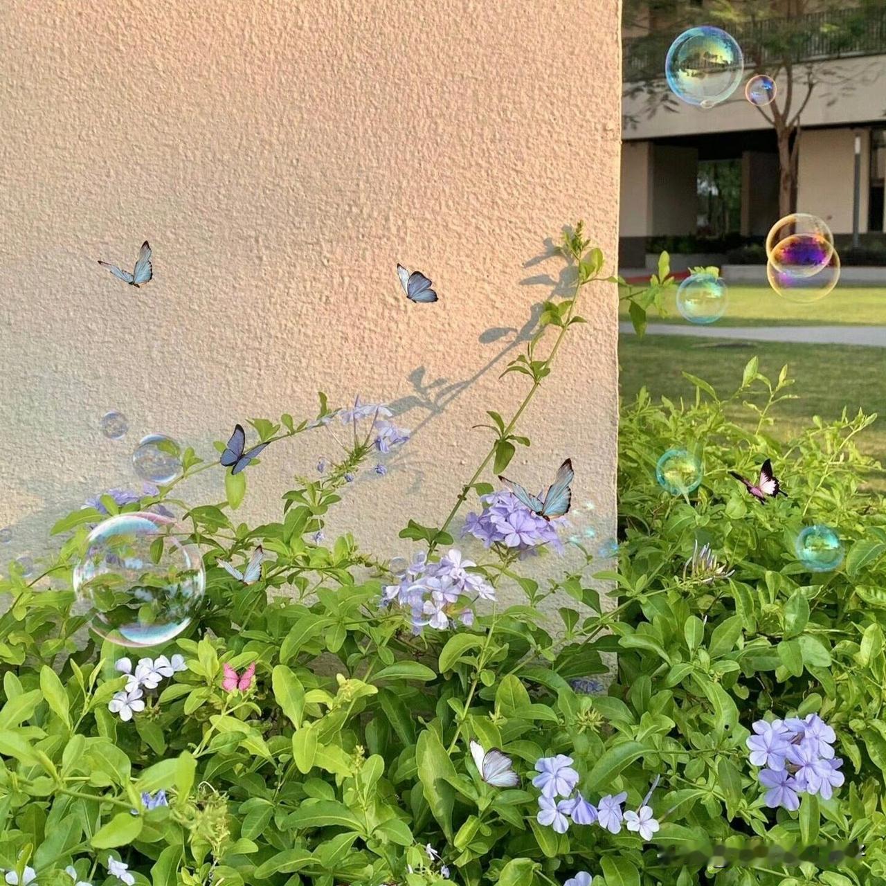 真心话茶局是个好东西。茶局可不只是喝茶，更是看人、看人心、看关系。
熟人局最自在