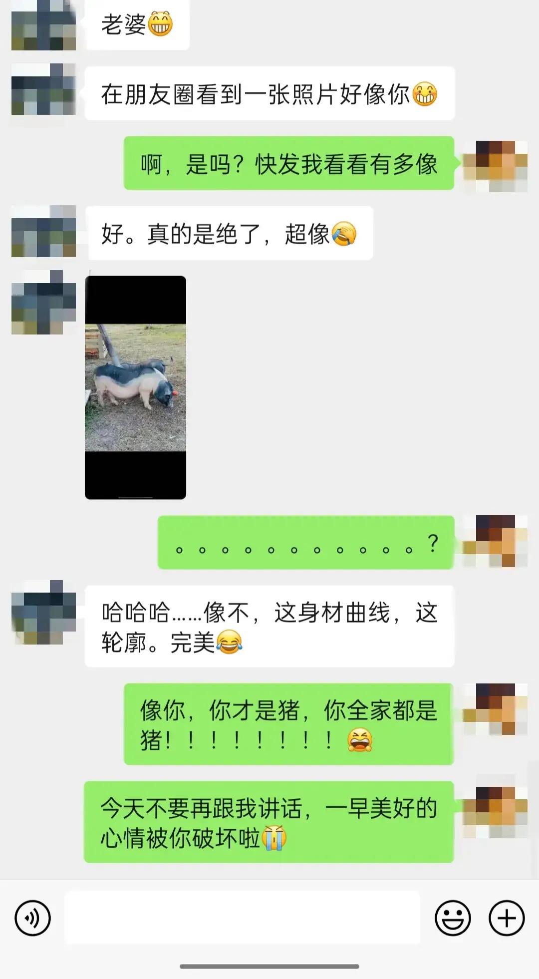 想问一下：这样的爱情💑值得羡慕不？