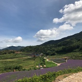 玲旺说说国际