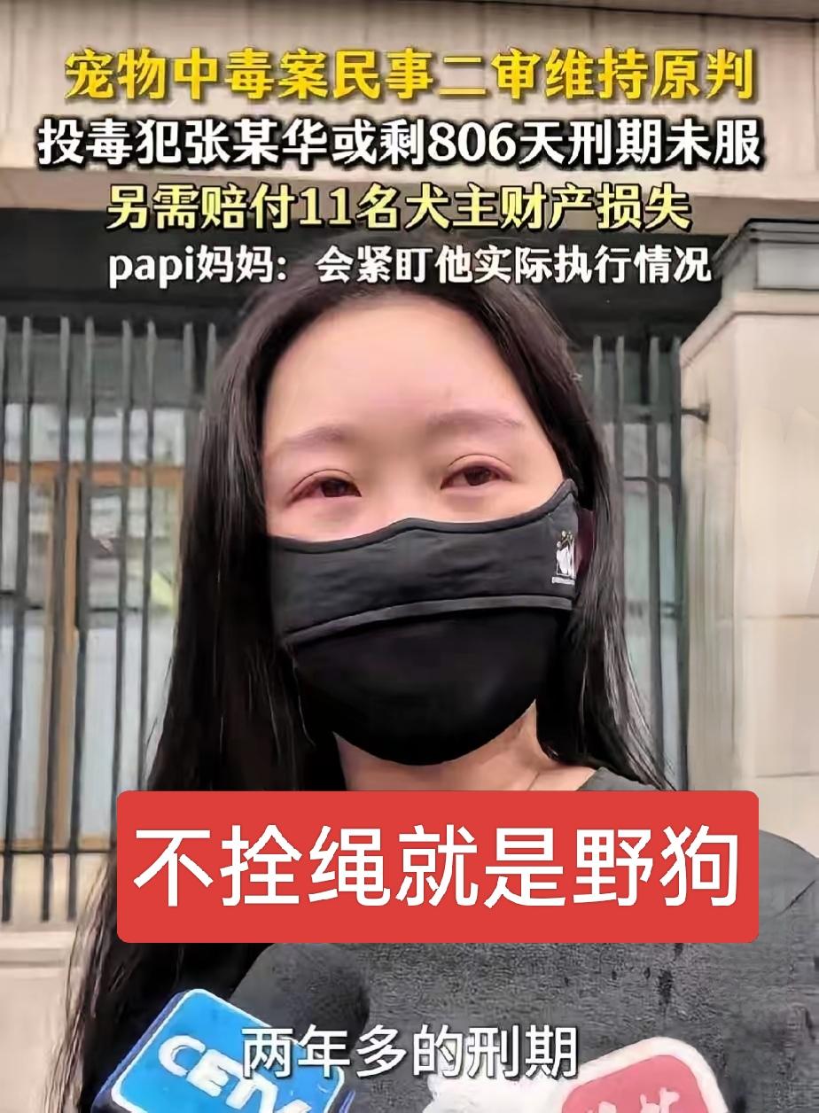 不拴绳就是野狗，赔什么赔！建议张某上诉！投毒罪可以认，但赔偿啥的纯属扯犊子，养狗