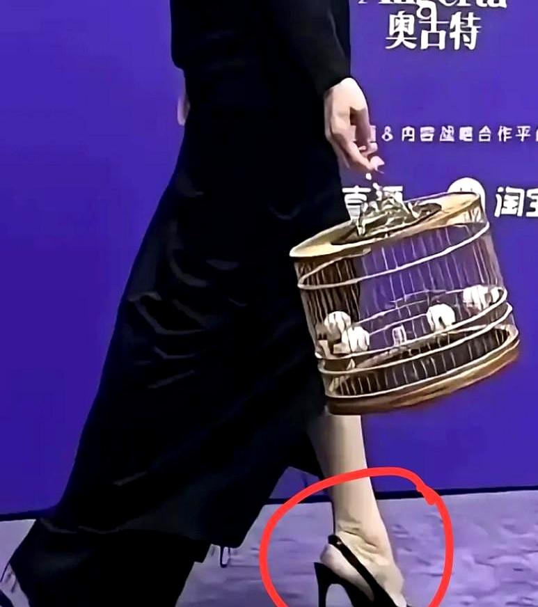 宋佳这次真踩雷了？
 

网传她梳“鼠尾辫”+细高跟，脚背肿得像发面馒头，年龄感