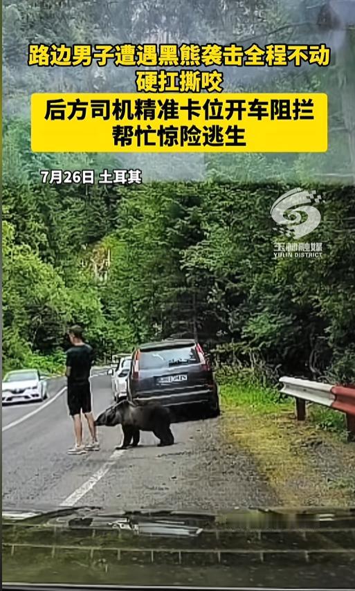 “吓死个人！”7月28日报道，土耳其，一男子在路边遇到了棕熊袭击，干脆站在原地不