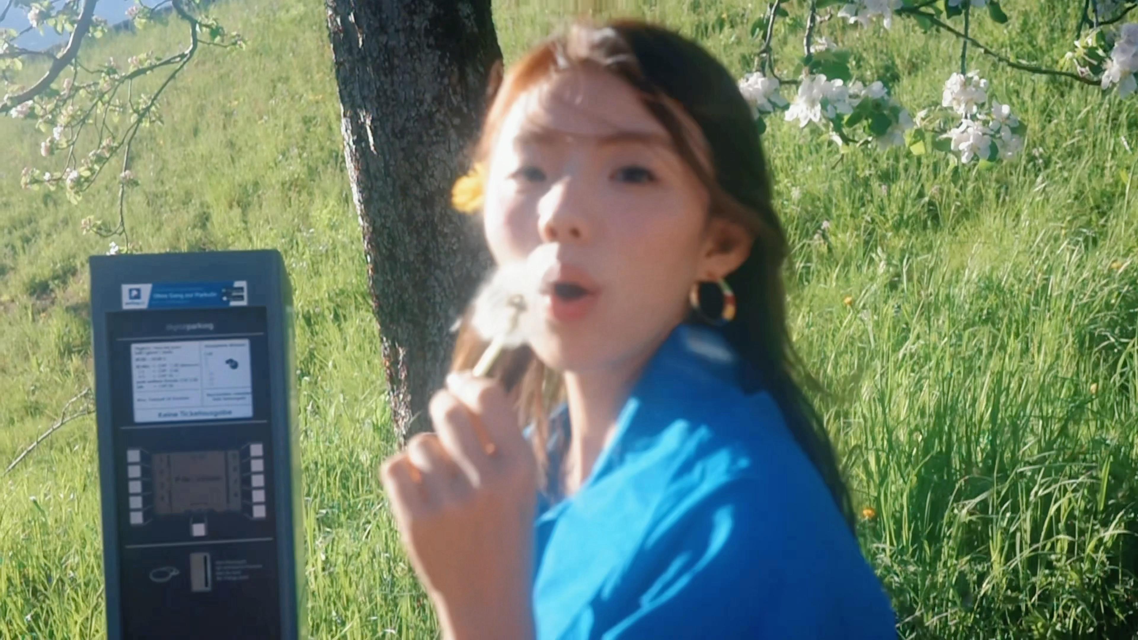 蒲公英的约定