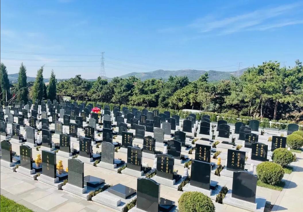 清明节，
发现了一个怪现象：
家庭越穷，越是没有几个人扫墓，甚至一个人都没有；