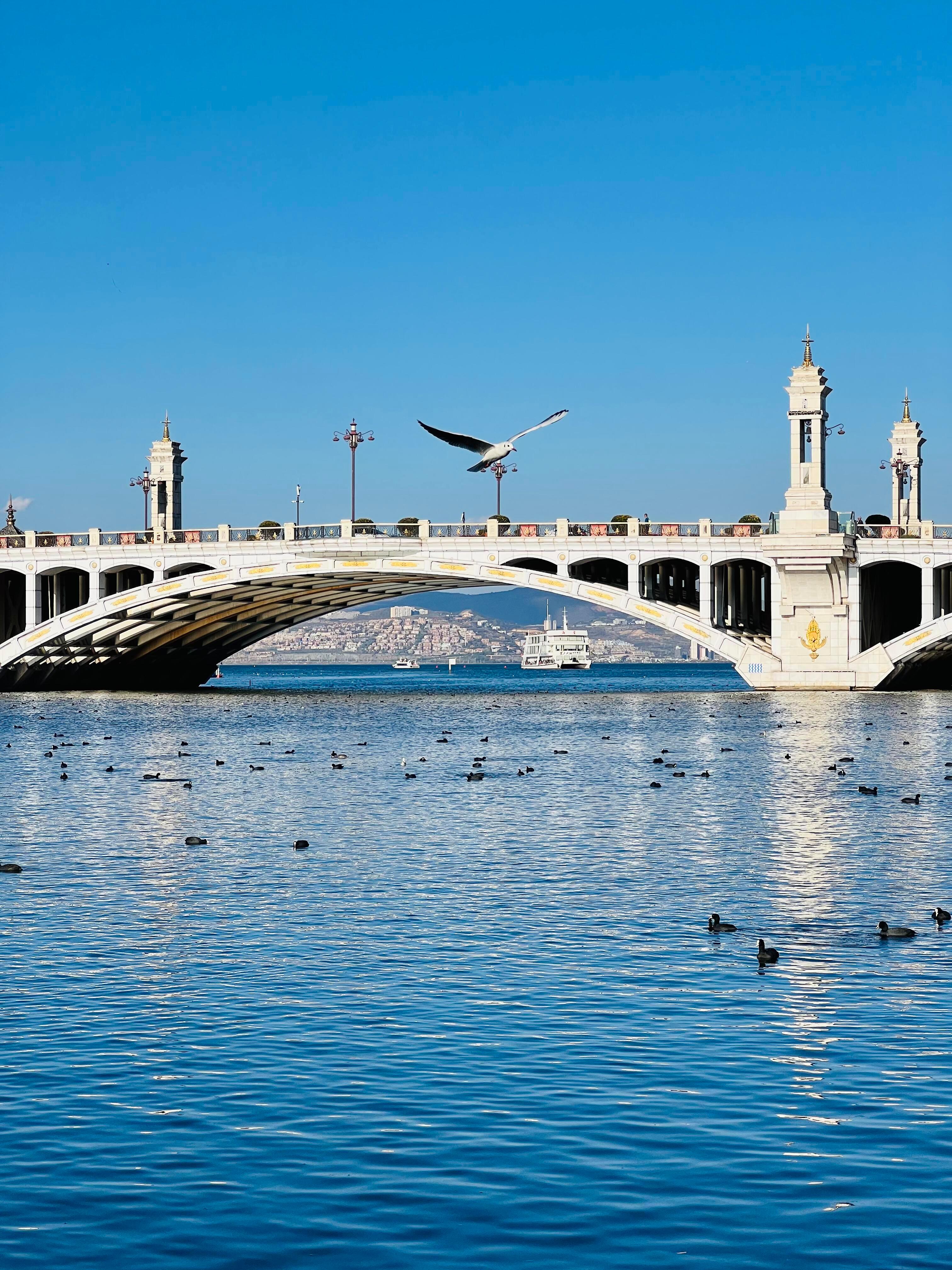 接下来的大理，才是人间理想！！！ 
