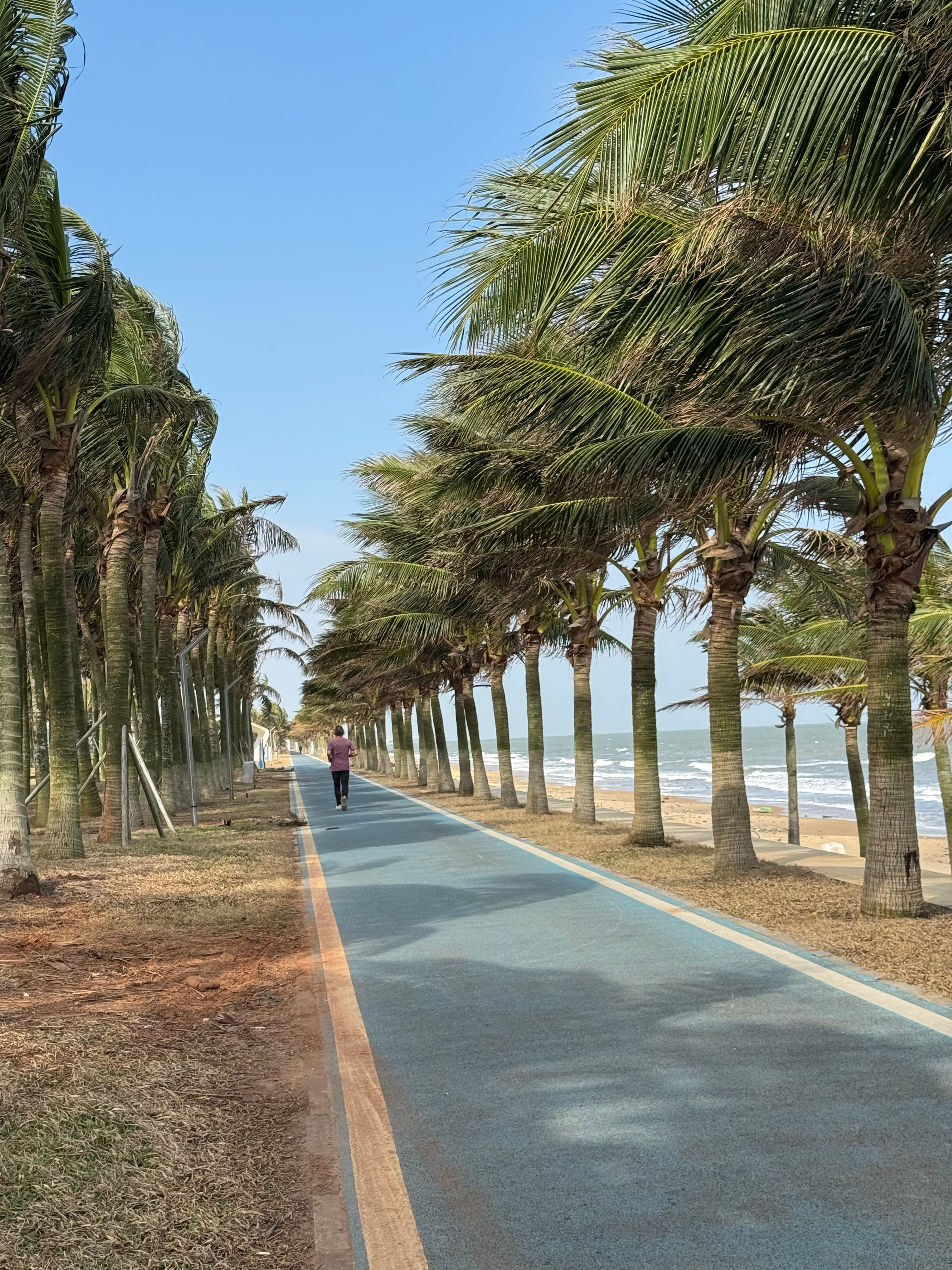 今天的海口多云，温度稍有上升，为晨跑提供了宜人的气候条件。我顺利完成了5000米