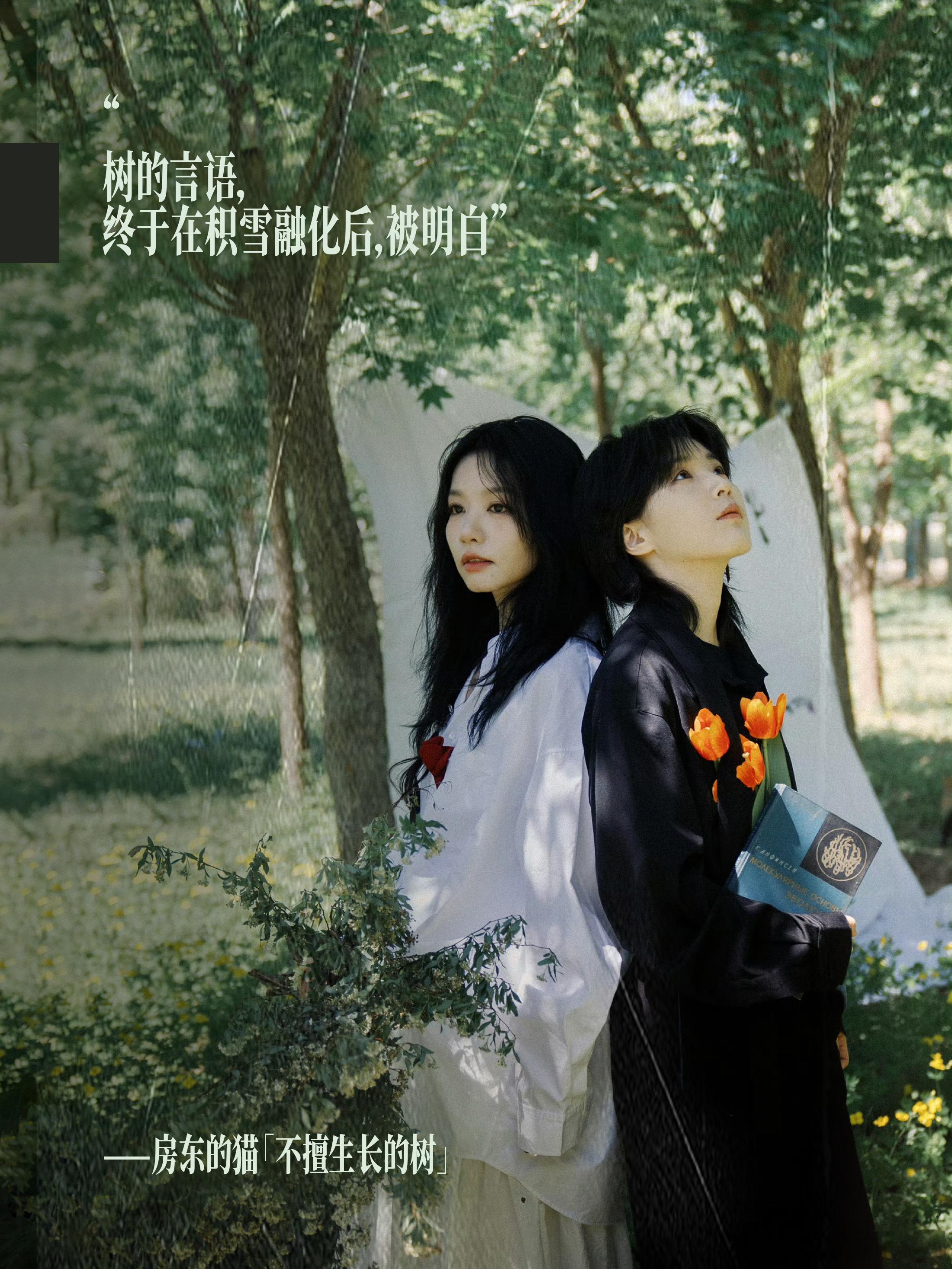 房东的猫新专辑不擅生长的树房东的猫专辑同名曲不擅生长的树“树的言语，终于在积雪融