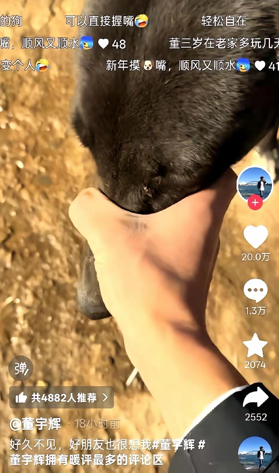 平时君临天下前拥后堵，春节又卖惨不管是否回农村都发个村庄无良视频：
用炮炸掉狗粮