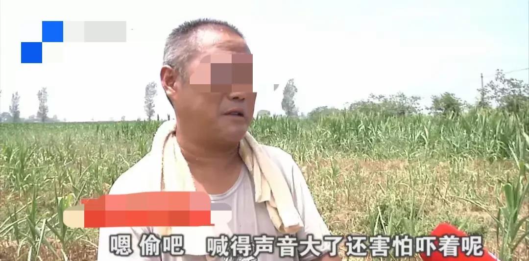 太崩溃了！河南，男子偷西瓜被果农的镰刀磕到腿，小腿骨折，男子向果农索赔18万，果