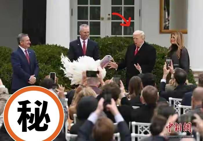 美国总统特朗普传出新消息了！

当地时间11月25日，特朗普在白宫玫瑰园主持感恩