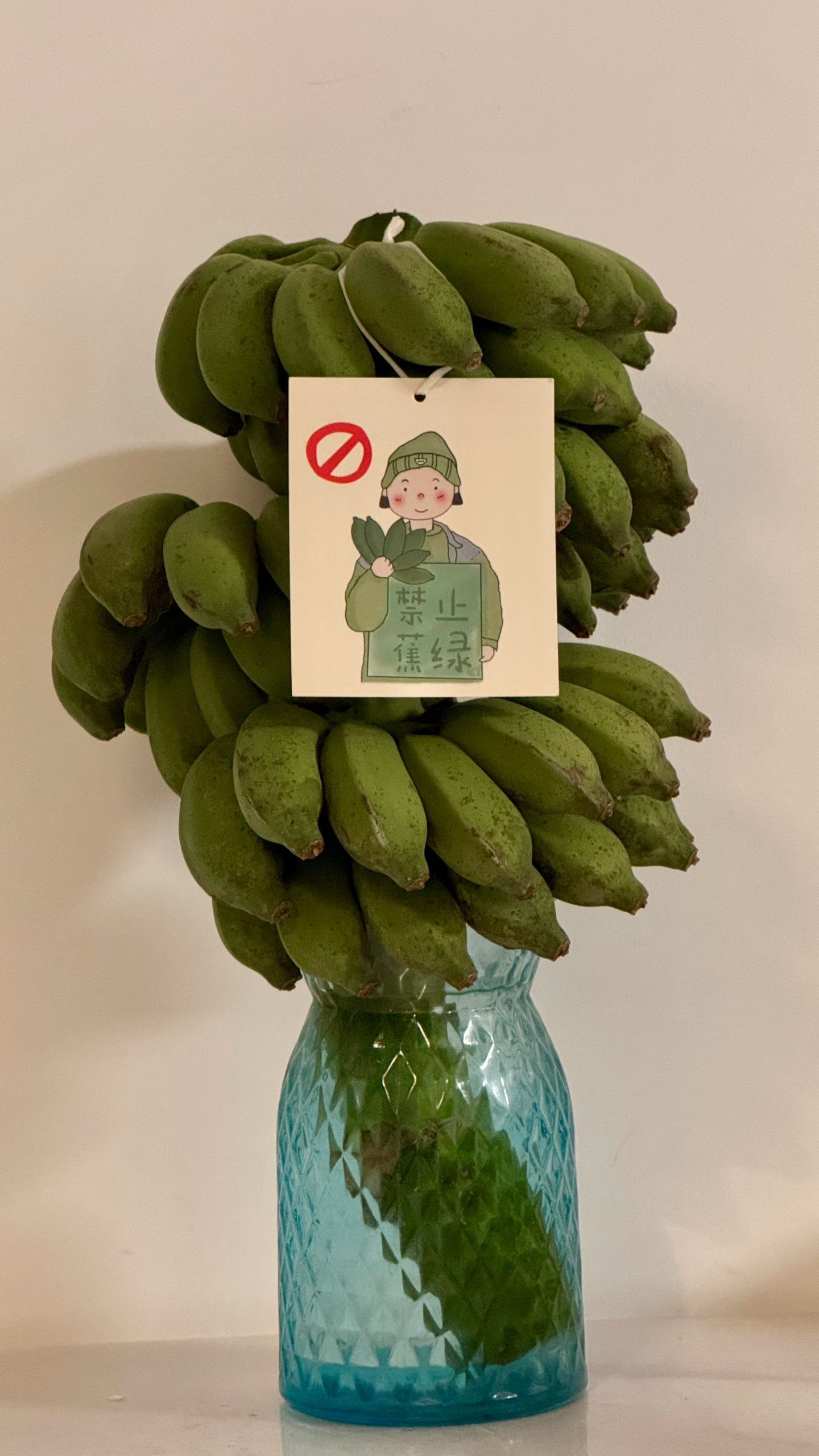 禁止蕉绿！现在的商家真会做生意，既可观赏，亦可食用，热爱生活，禁止焦虑！不知道什