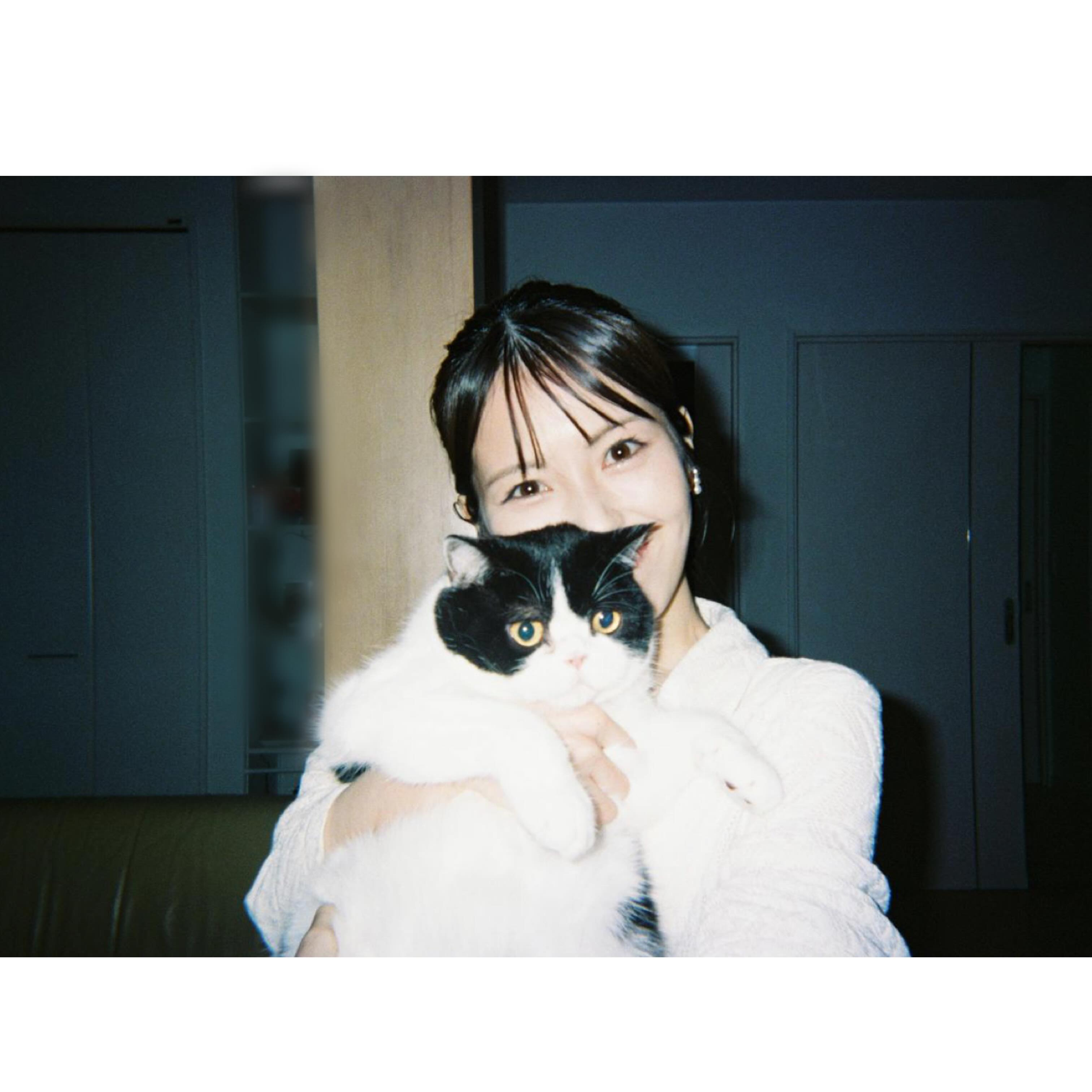 滨边美波与她的猫。 