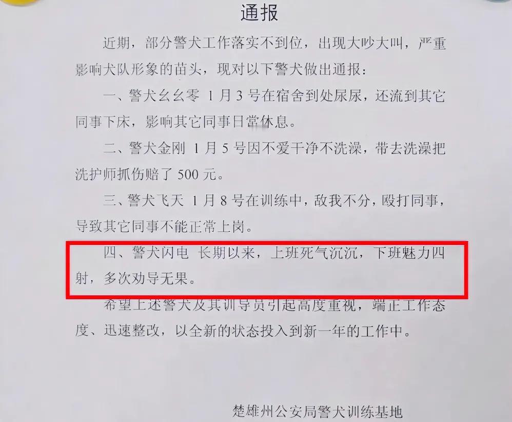 警犬“本来是全局通报，这下好了，全国人民都知道幺幺零  四处撒尿，导致闪电没睡好