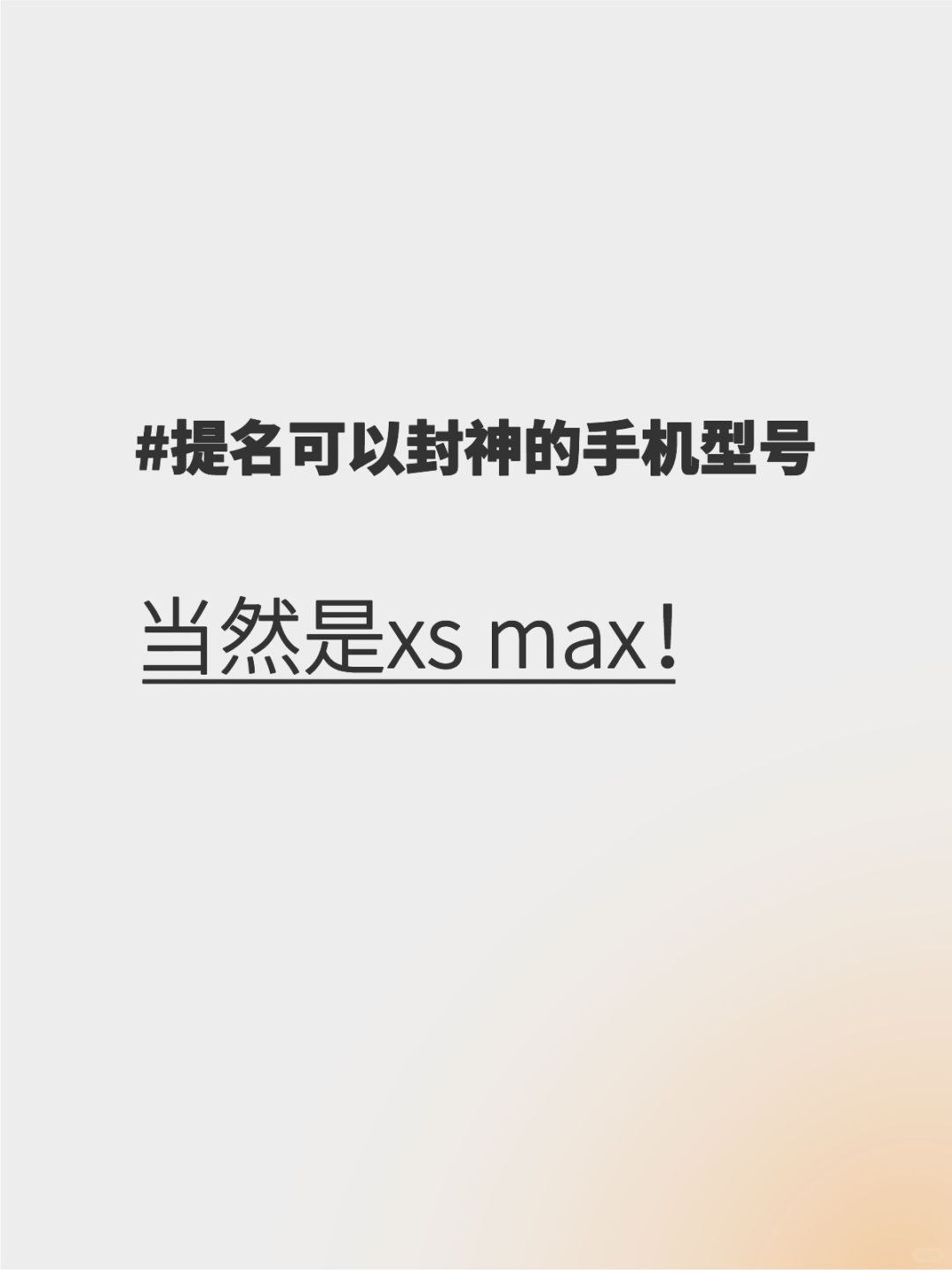 当然是xs max！