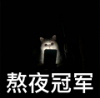 你熬夜看过的动画是哪一部？ ​​​