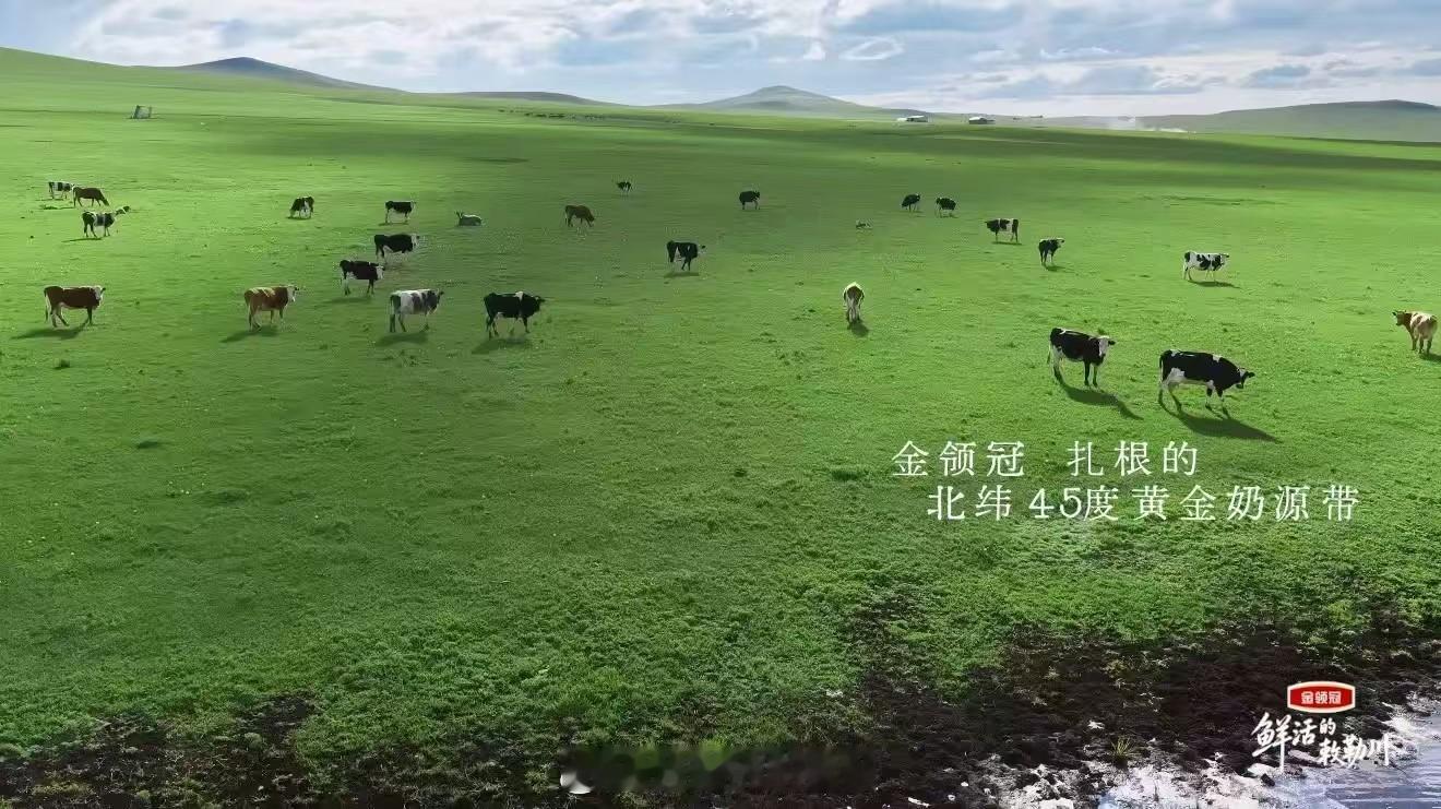 鲜活的敕勒川老一辈一开口全是功底换一种方式打开敕勒川腾格尔娓娓诉说草原岁月，老一