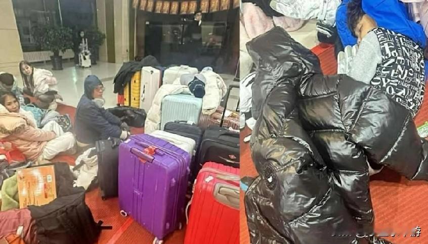 出国旅游变恶梦！泰国一家16口近日参加旅行团到中国哈尔滨旅游，没想到付了70万泰