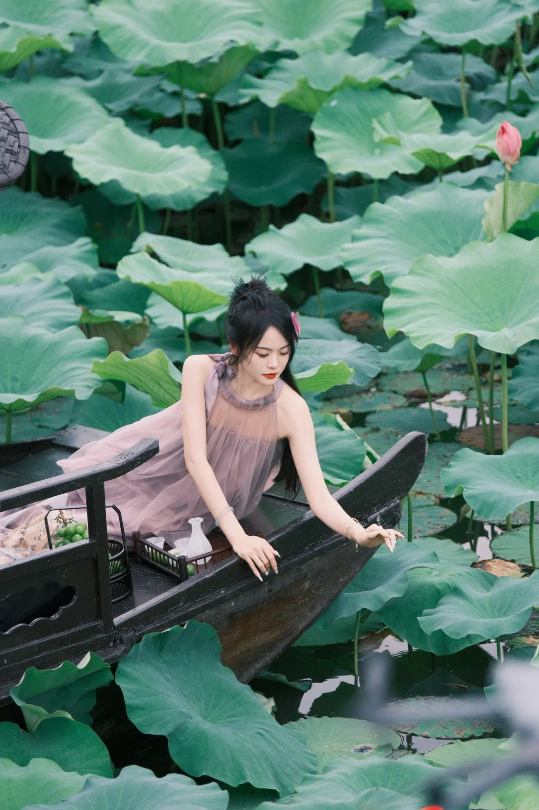 扬州荷花拍照，夏天怎么能不拍荷花呢