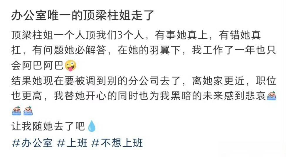 办公室唯一的顶梁柱姐走了 ​​​