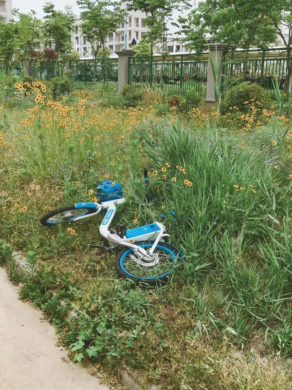 郑州这事儿太让人意外了！一个男子骑车丢手机，女子元某捡到后因解不开锁就扔草丛，结