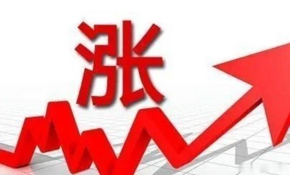 本周领涨板块及龙头股！一、电机：本周涨幅13.16%领涨个股：兆威机电、华阳智能