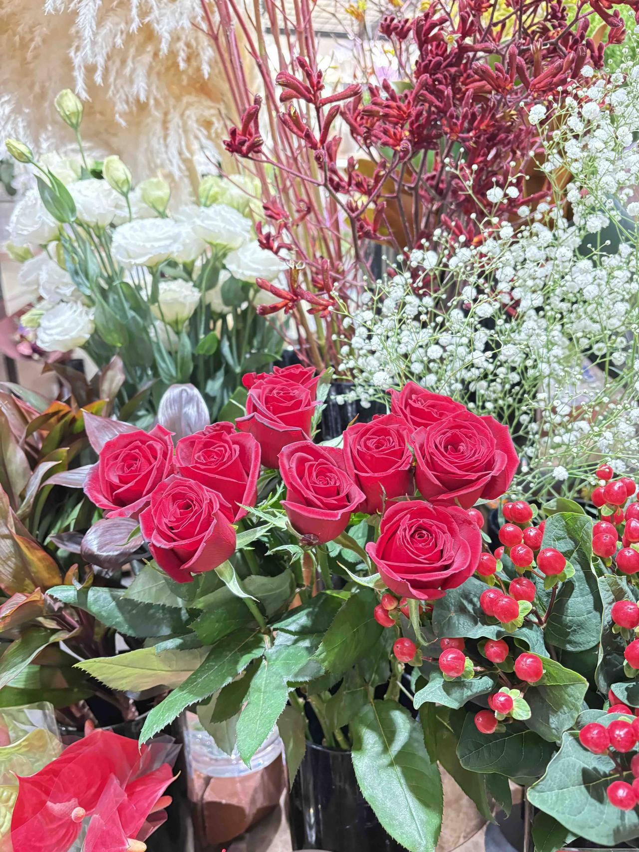 分享一张随手拍花开四季皆应景，俱是天生地造成。