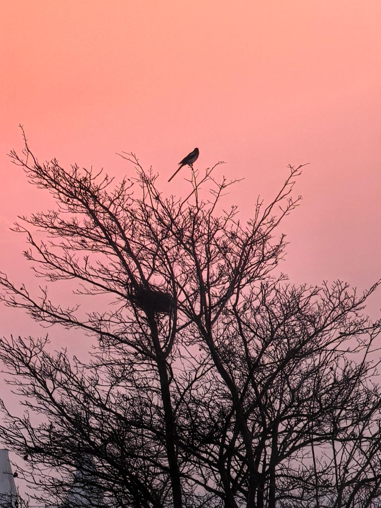 慢下来看世界 ……