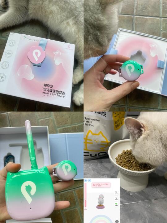 不在家想小猫咪了怎么办