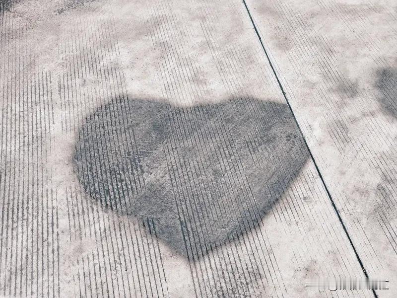 我容易被骗的弱点大概就是太心软。之前在路边碰到个自称钱包丢了，没钱吃饭回家的人，