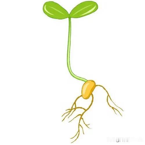 #说一件学生时代的趣事#
上初中二年级那会儿，学校来了一个新老师，姓马，细高个，