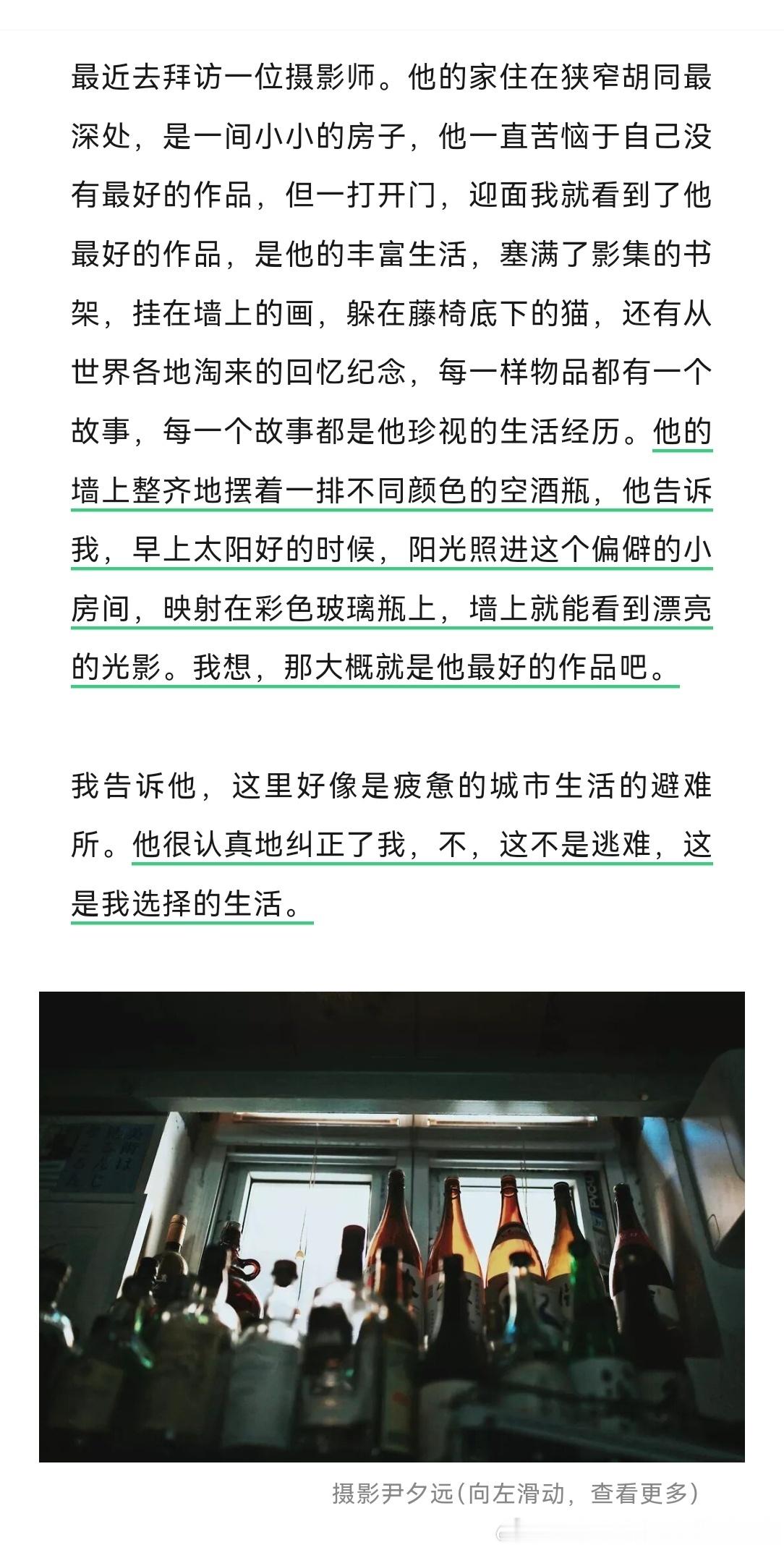 “他在北京的拼搏并不顺利，没人欣赏他的小花园，但是哪怕很小也好，瓶子里的白鹤芋还