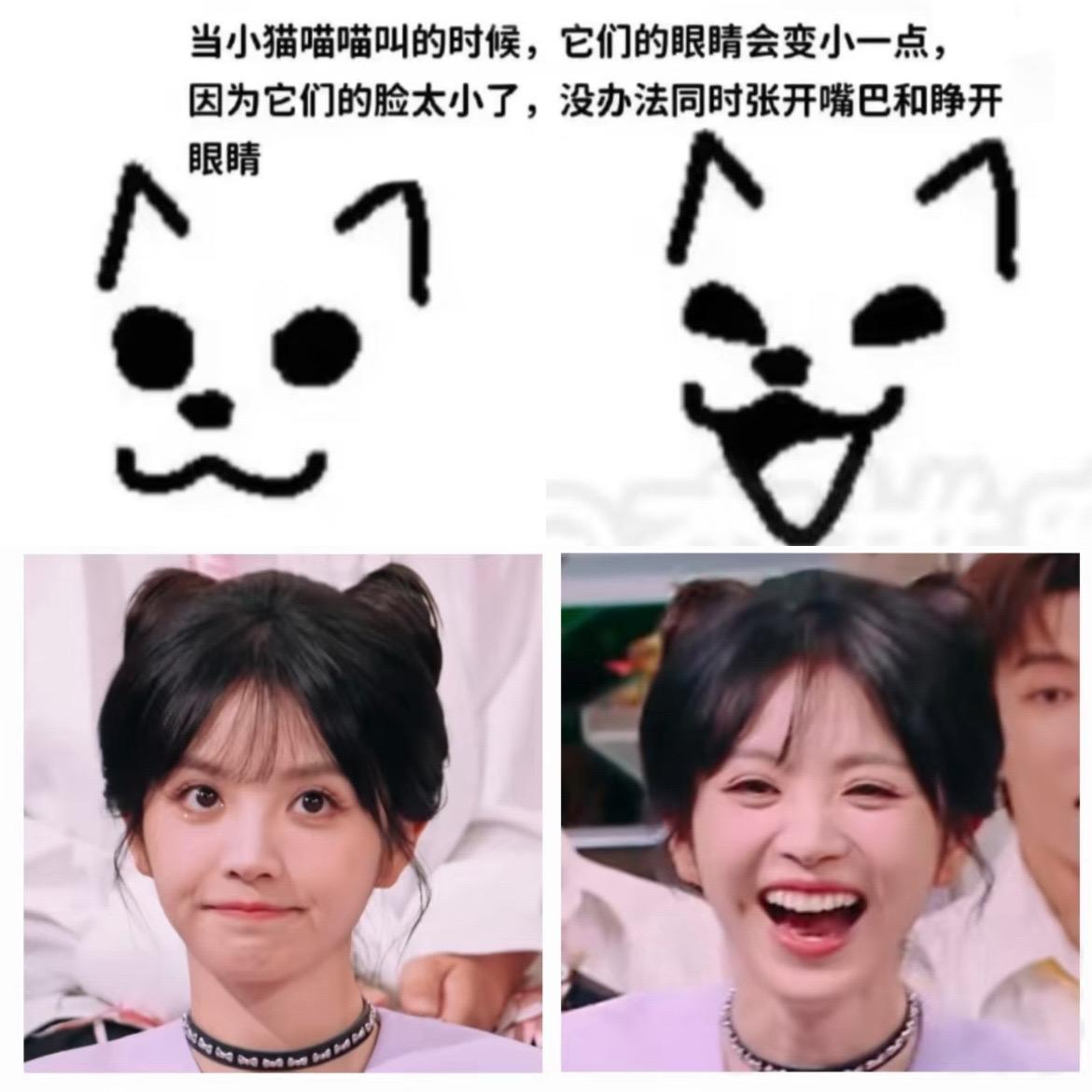 是这样的